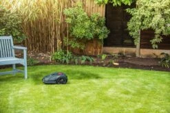 Robot Tondeuse Bosch Indego 350 Connect - 18 V - Largeur De Coupe 19 Cm - Utilisable Avec Une Application -Vendite Pelouse Pro 1200x800 50