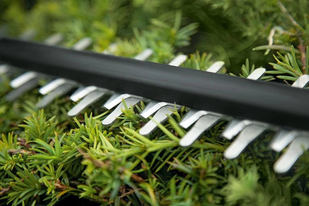 Taille-haie Bosch UniversalHedgeCut 18-50 - Avec 1 Batterie Li-Ion 18 V (2,5 Ah) Et Chargeur 10 Taille-haie Bosch UniversalHedgeCut 18-50 - Avec 1 Batterie Li-Ion 18 V (2,5 Ah) Et Chargeur – Image 10