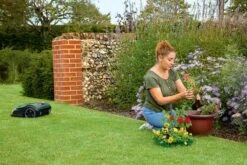 Tondeuse Robotique Bosch Indego M 700 - Pour Les Pelouses Jusqu'à 700 M2 - Incl. Borne De Recharge Et Accessoires -Vendite Pelouse Pro 1200x800 78