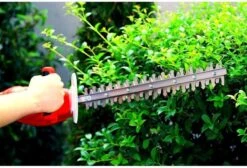 Taille-haie électrique Grizzly Tools EHS 4500 Longueur De Coupe 41 Cm 450 Watts Interrupteur De Sécurité Frein De Lame -Vendite Pelouse Pro 1200x815 4