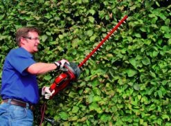 Einhell GC- EH 6055/1 Taille-haie électrique Avec Support De Protection 600 W 610 Mm -Vendite Pelouse Pro 1200x885