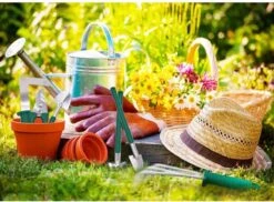 Set' Outils De Jardin Ensemble De Outils De Jardin 10 Pièces - Sécateur Cisailles De Jardin Ciseaux à Fleurs Pelle De Jardin Pulvérisateur De Pulvérisateur De Plantes Râteau à Main -Vendite Pelouse Pro 1200x885 4