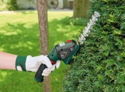 Ciseaux PARKSIDE® Accu-herbe / Brousse - Accumulateur: V 4, 2, 0 Ah - 2-en-1: Pour Des Bords De Pelouse Parfaits Taillés Et Arbustes -Vendite Pelouse Pro 1200x889 1