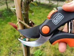 Black & Decker Sécateur Black+Decker - Bypass - Ciseaux à Fleurs - Lames En Acier Trempé - Zwart/ Oranje - Epaisseur De Branche Diamètre De Coupe Max Ø 13 Mm 11 Black & Decker Sécateur Black+Decker - Bypass - Ciseaux à Fleurs - Lames En Acier Trempé - Zwart/ Oranje - Epaisseur De Branche Diamètre De Coupe Max Ø 13 Mm -Vendite Pelouse Pro 1200x900 4