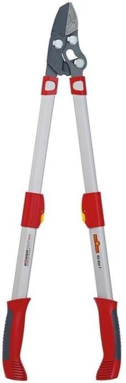 WOLF-Garten Coupe-branche POWER CUT*** RS 900 T - Longueur 650-900mm - Cisaille Télescopique - Bras De Levier En Aluminium - 4x Plus De Force - Tension De La Lame Réglable - Enclume