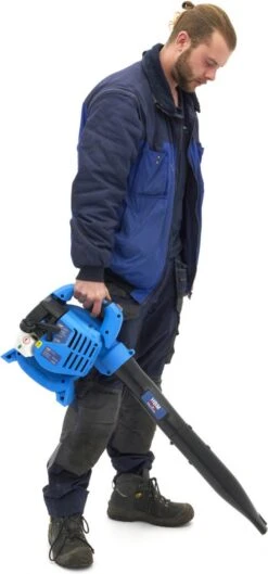 Souffleur à Feuilles à Main 3-en-1 Essence 2 Temps 25,4 Cc 20 Souffleur à Feuilles à Main 3-en-1 Essence 2 Temps 25,4 Cc -Vendite Pelouse Pro 560x1200