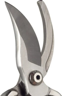 GEOLIA - Sécateur 1 Main - Lame Recourbée By-pass - Acier - Capacité D'ouverture 18 Mm - Manche Plastique Ergonomique 9 GEOLIA - Sécateur 1 Main - Lame Recourbée By-pass - Acier - Capacité D'ouverture 18 Mm - Manche Plastique Ergonomique -Vendite Pelouse Pro 776x1200