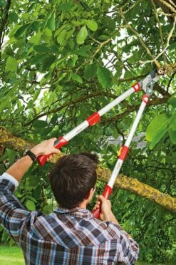 WOLF-Garten Coupe-branche POWER CUT*** RS 900 T - Longueur 650-900mm - Cisaille Télescopique - Bras De Levier En Aluminium - 4x Plus De Force - Tension De La Lame Réglable - Enclume -Vendite Pelouse Pro 797x1200