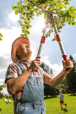 WOLF-Garten Coupe-branche POWER CUT*** RS 900 T - Longueur 650-900mm - Cisaille Télescopique - Bras De Levier En Aluminium - 4x Plus De Force - Tension De La Lame Réglable - Enclume -Vendite Pelouse Pro 798x1200