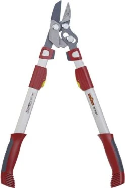 WOLF-Garten Coupe-branche POWER CUT*** RS 900 T - Longueur 650-900mm - Cisaille Télescopique - Bras De Levier En Aluminium - 4x Plus De Force - Tension De La Lame Réglable - Enclume -Vendite Pelouse Pro 799x1200 12