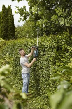 Taille-haie Sans Fil PowerCut Li-40/60 GARDENA - Avec Batterie 40V - Longueur De La Lame 60cm 16 Taille-haie Sans Fil PowerCut Li-40/60 GARDENA - Avec Batterie 40V - Longueur De La Lame 60cm -Vendite Pelouse Pro 799x1200 13