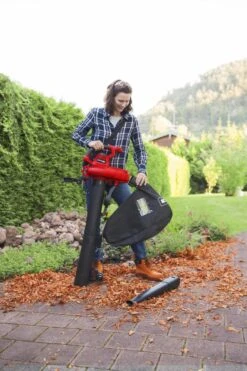 Piston Souffleur De Feuilles électrique Einhell 3000 W. -Vendite Pelouse Pro 799x1200 29