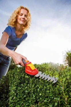 WOLF-Garten LI- ION POWER FINESSE 30 B - Cisaille à Arbustes - Avec Batterie 3,7 V LI- ION - Largeur De Travail 150 Mm - Durée De Fonctionnement 30 Minutes 9 WOLF-Garten LI- ION POWER FINESSE 30 B - Cisaille à Arbustes - Avec Batterie 3,7 V LI- ION - Largeur De Travail 150 Mm - Durée De Fonctionnement 30 Minutes -Vendite Pelouse Pro 799x1200 4