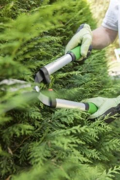 GEOLIA Taille-haies Kanten Cm Cisailles à Arbustes Sécateurs à Bords Dentelés Cisailles à Arbustes En Aluminium Sécateurs -Vendite Pelouse Pro 800x1200 1