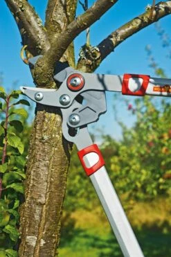 Élagueur D'élagage WOLF-Garten POWER CUT RS 650 - Longueur 650mm - Bras De Levier En Aluminium - 2x Plus De Puissance - Tension De Lame Réglable - Enclume -Vendite Pelouse Pro 800x1200 2