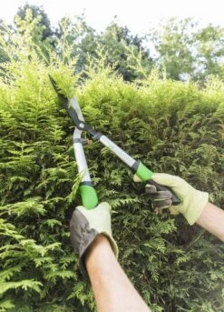 GEOLIA Taille-haies Kanten Cm Cisailles à Arbustes Sécateurs à Bords Dentelés Cisailles à Arbustes En Aluminium Sécateurs -Vendite Pelouse Pro 865x1200