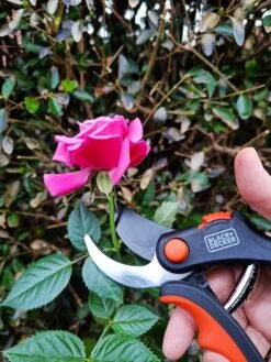 Black & Decker Sécateur Black+Decker - Bypass - Ciseaux à Fleurs - Lames En Acier Trempé - Zwart/ Oranje - Epaisseur De Branche Diamètre De Coupe Max Ø 13 Mm 14 Black & Decker Sécateur Black+Decker - Bypass - Ciseaux à Fleurs - Lames En Acier Trempé - Zwart/ Oranje - Epaisseur De Branche Diamètre De Coupe Max Ø 13 Mm -Vendite Pelouse Pro 900x1200 1