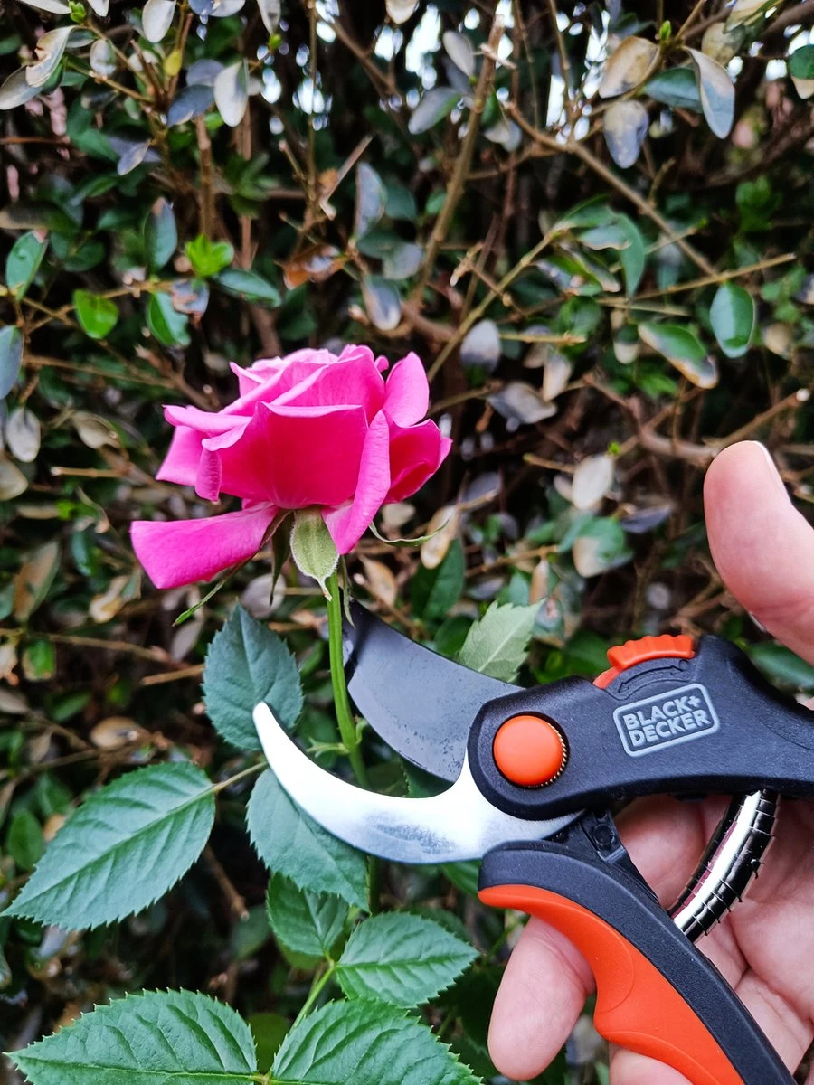 Black & Decker Sécateur Black+Decker - Bypass - Ciseaux à Fleurs - Lames En Acier Trempé - Zwart/ Oranje - Epaisseur De Branche Diamètre De Coupe Max Ø 13 Mm 6 Black & Decker Sécateur Black+Decker - Bypass - Ciseaux à Fleurs - Lames En Acier Trempé - Zwart/ Oranje - Epaisseur De Branche Diamètre De Coupe Max Ø 13 Mm – Image 6