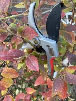 Sécateur Jusqu'à 60% D'économie D'énergie Cisailles à Arbres Cisailles à Roses Sécateurs Coupe Jusqu'à 26 Mm De Diamètre, Poignée Ergonomique Pour Droitiers Et Gauchers Cisailles à Arbres Fruitiers Cisailles à Rouleaux -Vendite Pelouse Pro 900x1200 2