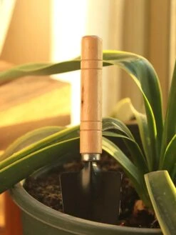 Waledano® Set Outils De Jardin 3 Pièces - Convient Pour Le Jardinage - Plantation - Mini Truelle, Râteau Et Planteur - Attention Mini Set 14 Waledano® Set Outils De Jardin 3 Pièces - Convient Pour Le Jardinage - Plantation - Mini Truelle, Râteau Et Planteur - Attention Mini Set -Vendite Pelouse Pro 901x1200 10