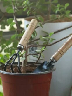 Set Outils De Jardin Waledano® 3 Pièces - Convient Pour Le Jardinage - La Plantation Pelle De Jardin - Ensemble De Culture - Râteau De Jardin - Pelle à Plantes - Pelle à Main - Avec Manche En Bois -Vendite Pelouse Pro 901x1200 6