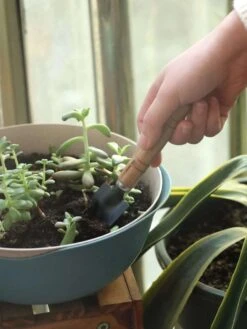 Waledano® Set Outils De Jardin 3 Pièces - Convient Pour Le Jardinage - Plantation - Mini Truelle, Râteau Et Planteur - Attention Mini Set 12 Waledano® Set Outils De Jardin 3 Pièces - Convient Pour Le Jardinage - Plantation - Mini Truelle, Râteau Et Planteur - Attention Mini Set -Vendite Pelouse Pro 901x1200 8